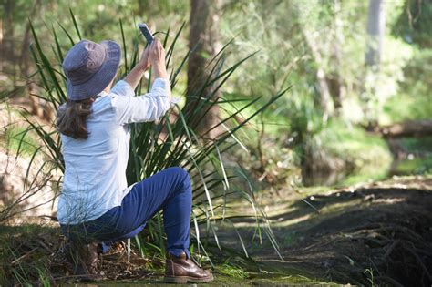 Crowdsourced Environmental Monitoring 2035 Citizen Science Data Accuracy