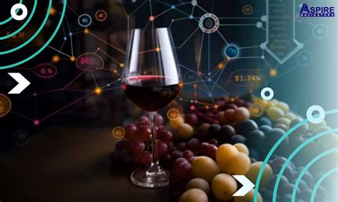 AI Wine Fraud Detection Spectroscopic Analysis vs Human Sommelier Tests