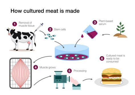 Lab-Grown Meat Adoption Cellular Agriculture Cost Parity Projections by Region