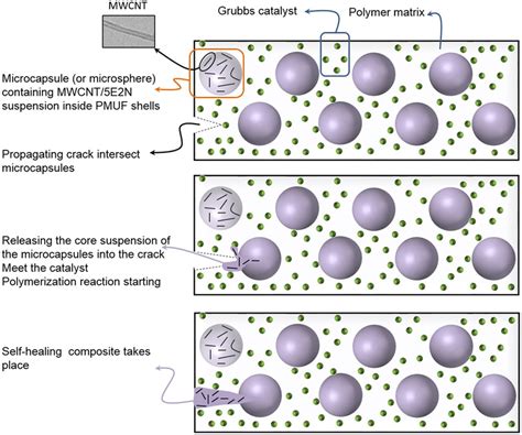 Self-Healing Electronics Microcapsule Polymer Circuit Repair Success Rates