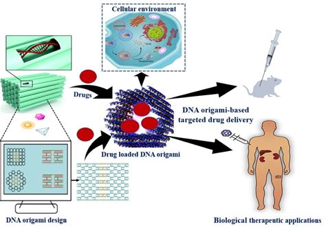 Programmable DNA Origami 2030 Drug Delivery Nanostructure Success Rates