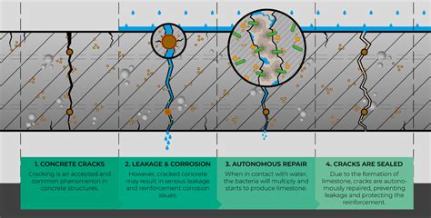 2030 Construction Revolution Self-Healing Concrete vs Robotic Bricklaying ROI