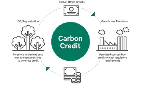 Climate Reparations Tech AI-Optimized Carbon Credit Distribution Models